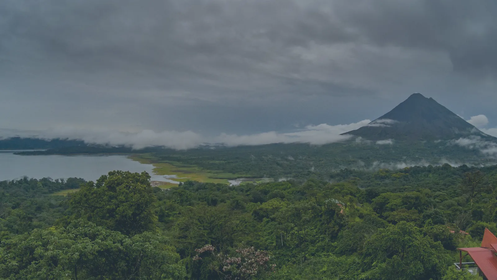 BJJ gyms in Central America