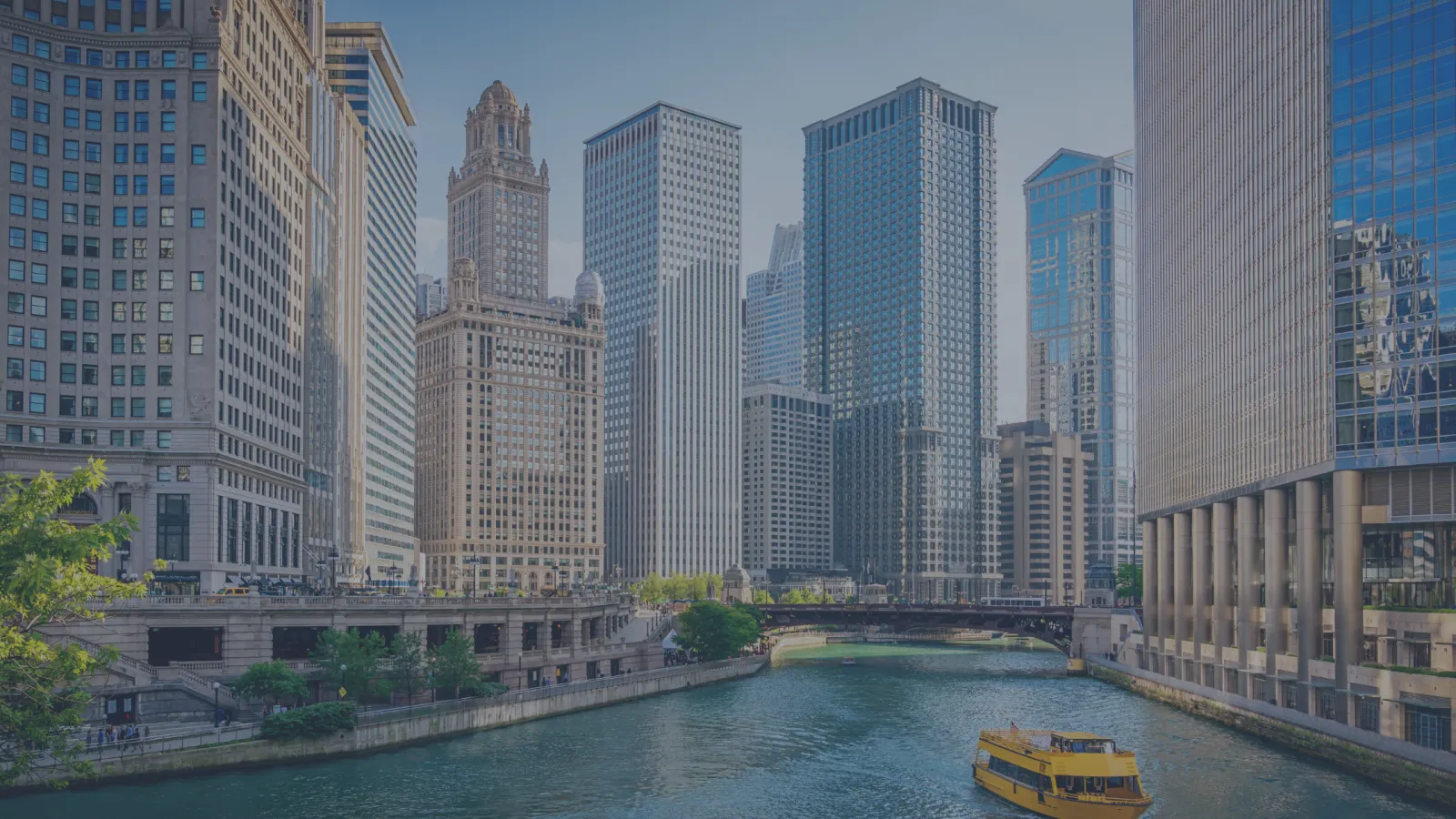 BJJ in Chicago