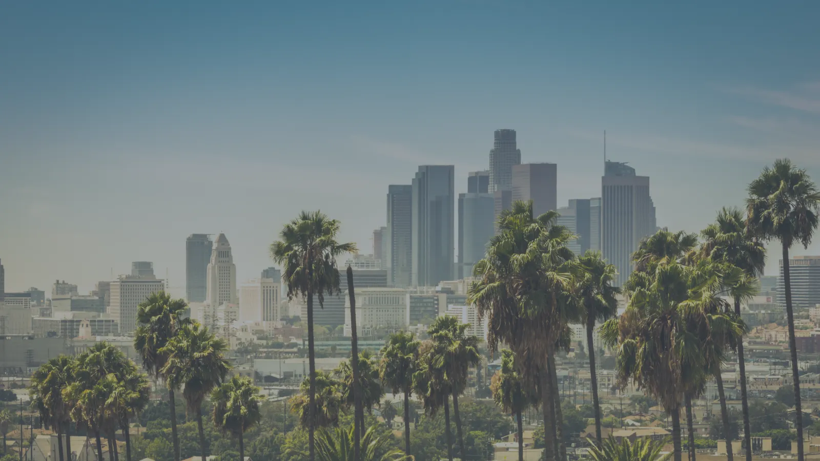 BJJ in Los Angeles