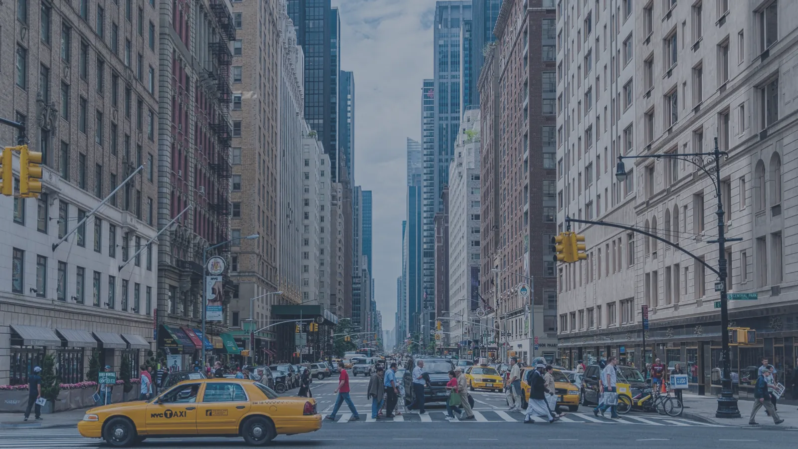 BJJ in New York City