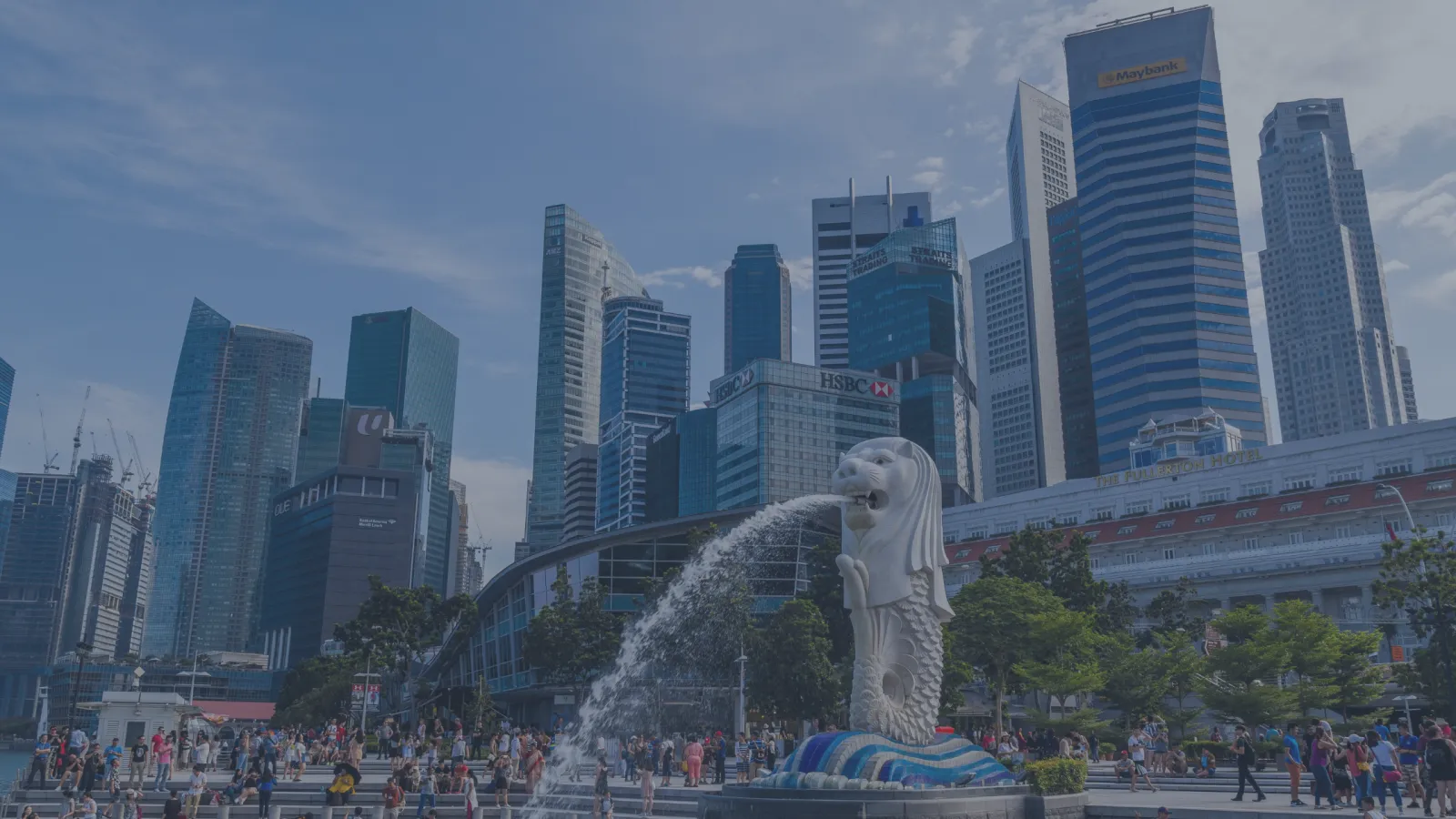 BJJ in Singapore